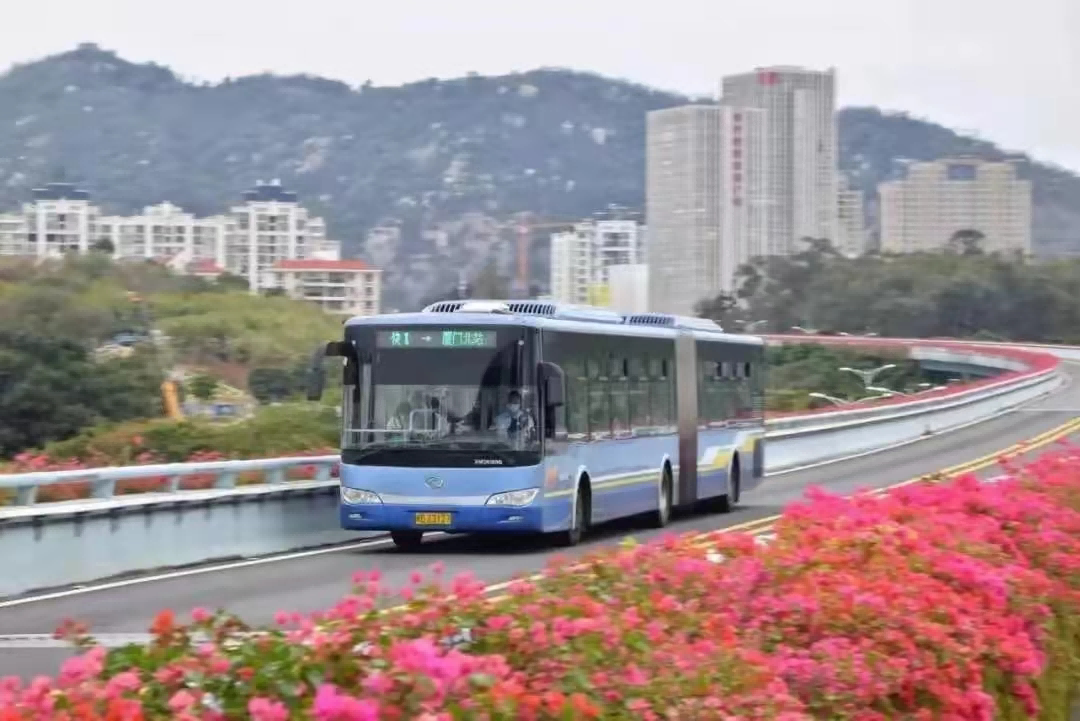 1729663171535 图片 1